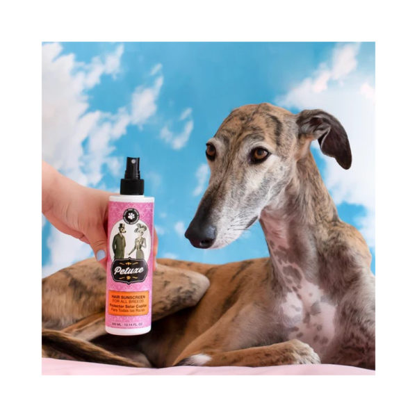 Sonnenschutz Spray